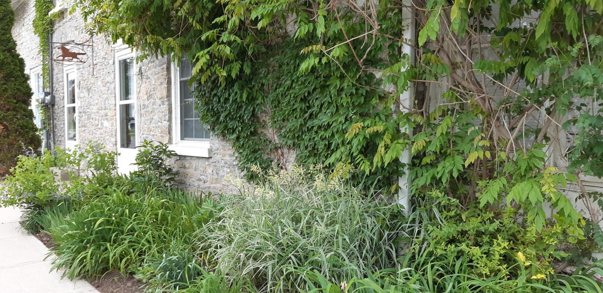 Stone Carriage House Villa Пиктън Екстериор снимка