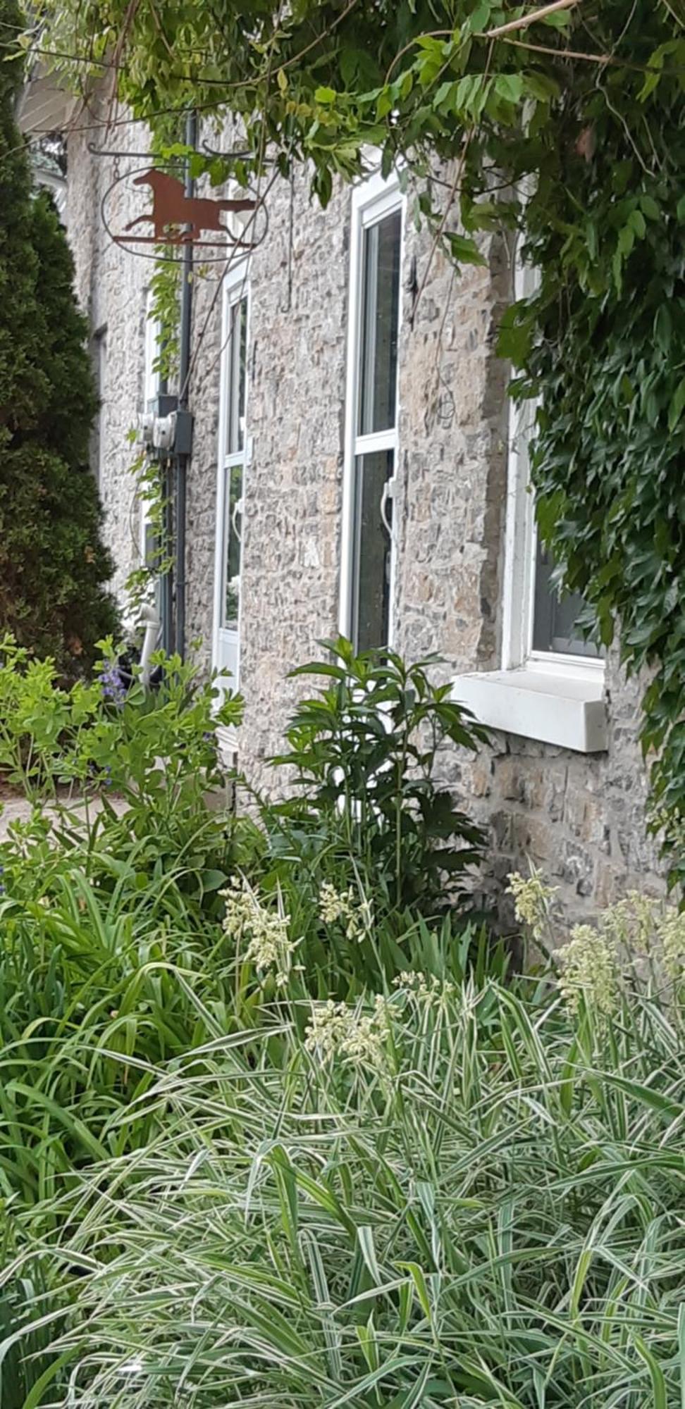 Stone Carriage House Villa Пиктън Екстериор снимка